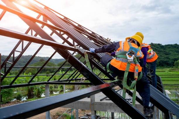 Best Metal Roofing Contractor  in New Waverly, TX