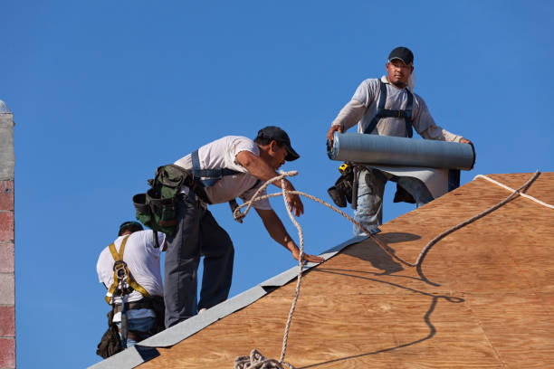Best New Roof Installation  in New Waverly, TX