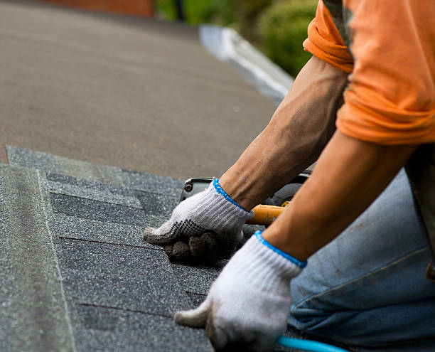 Professional Roofing Contractor in New Waverly, TX