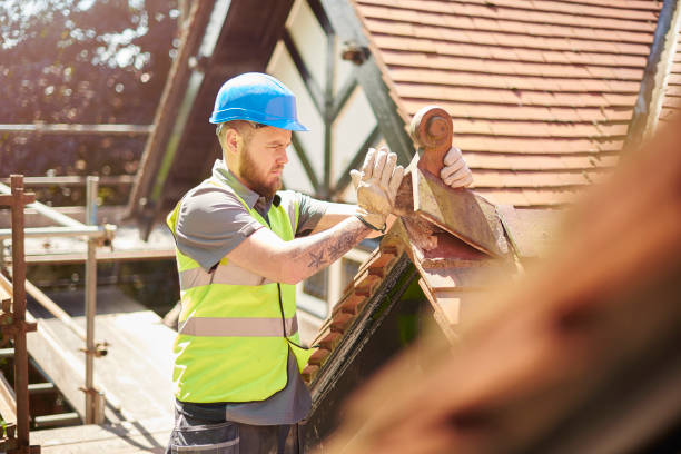 Best Local Roofing Companies  in New Waverly, TX