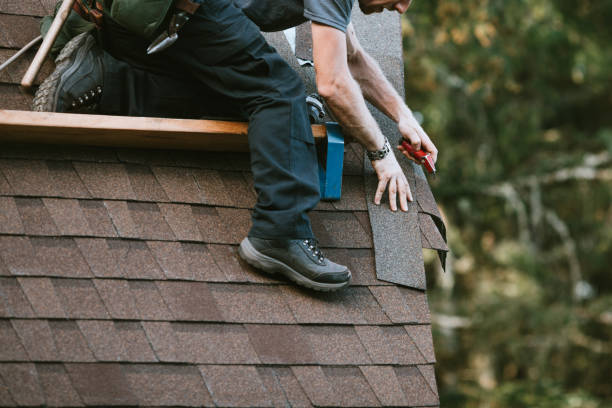 Roof Gutter Cleaning in New Waverly, TX